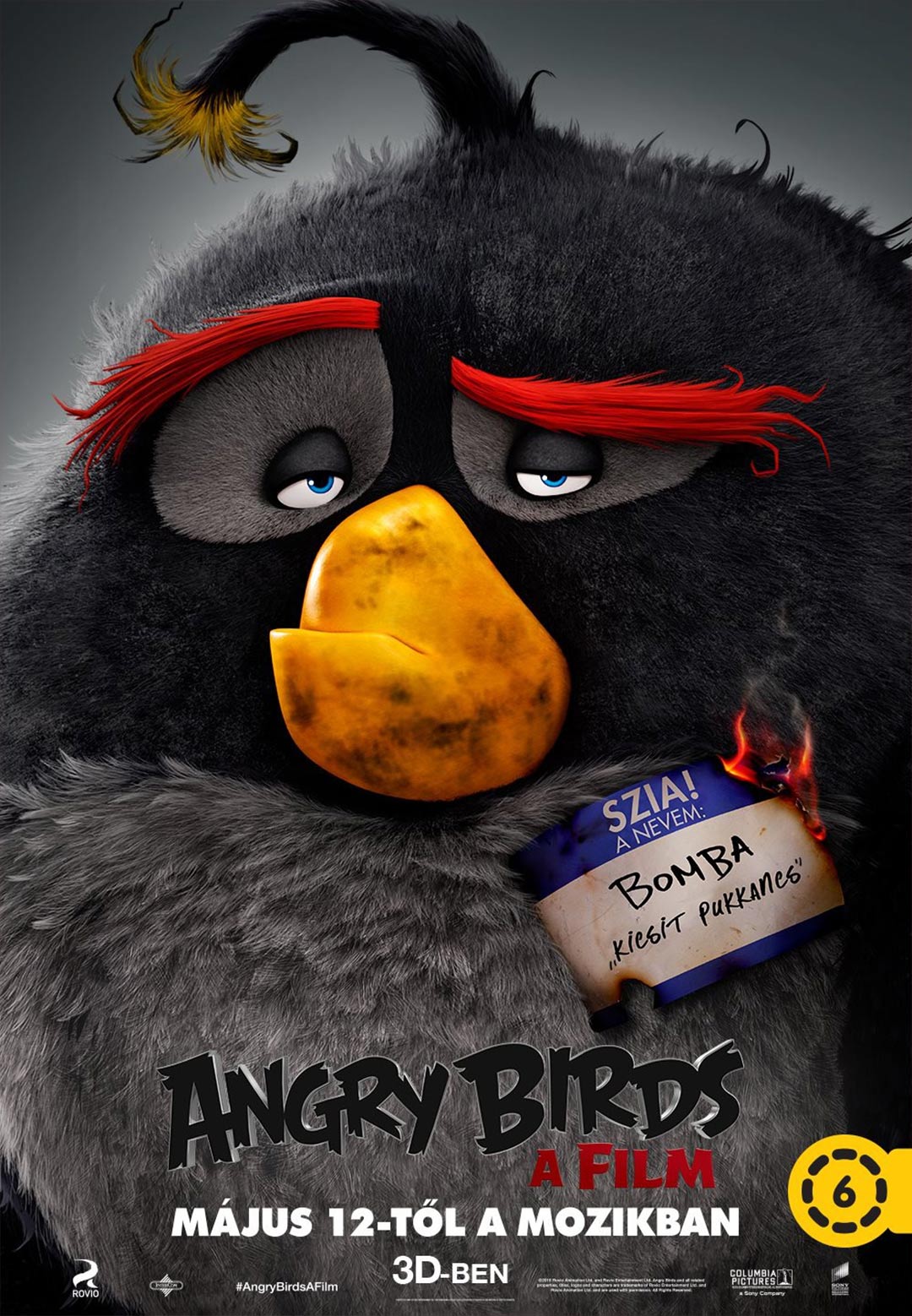 Angry Birds Poster #5
