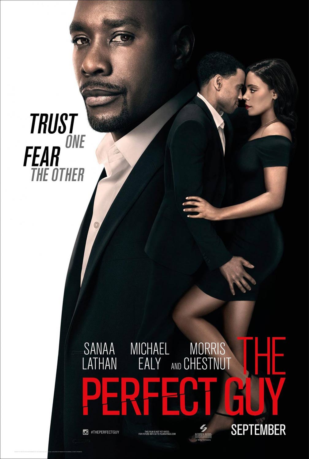 The Perfect Guy Poster #2