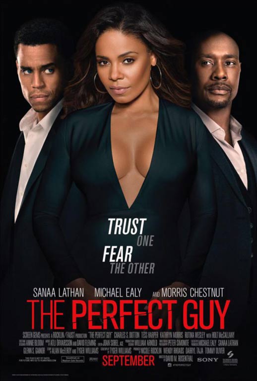 The Perfect Guy Poster #3
