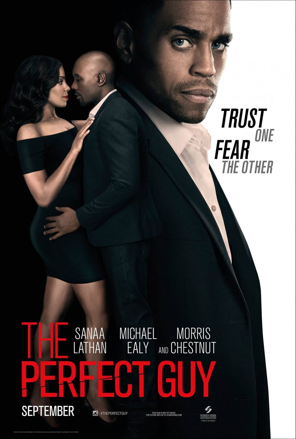 The Perfect Guy Poster #1