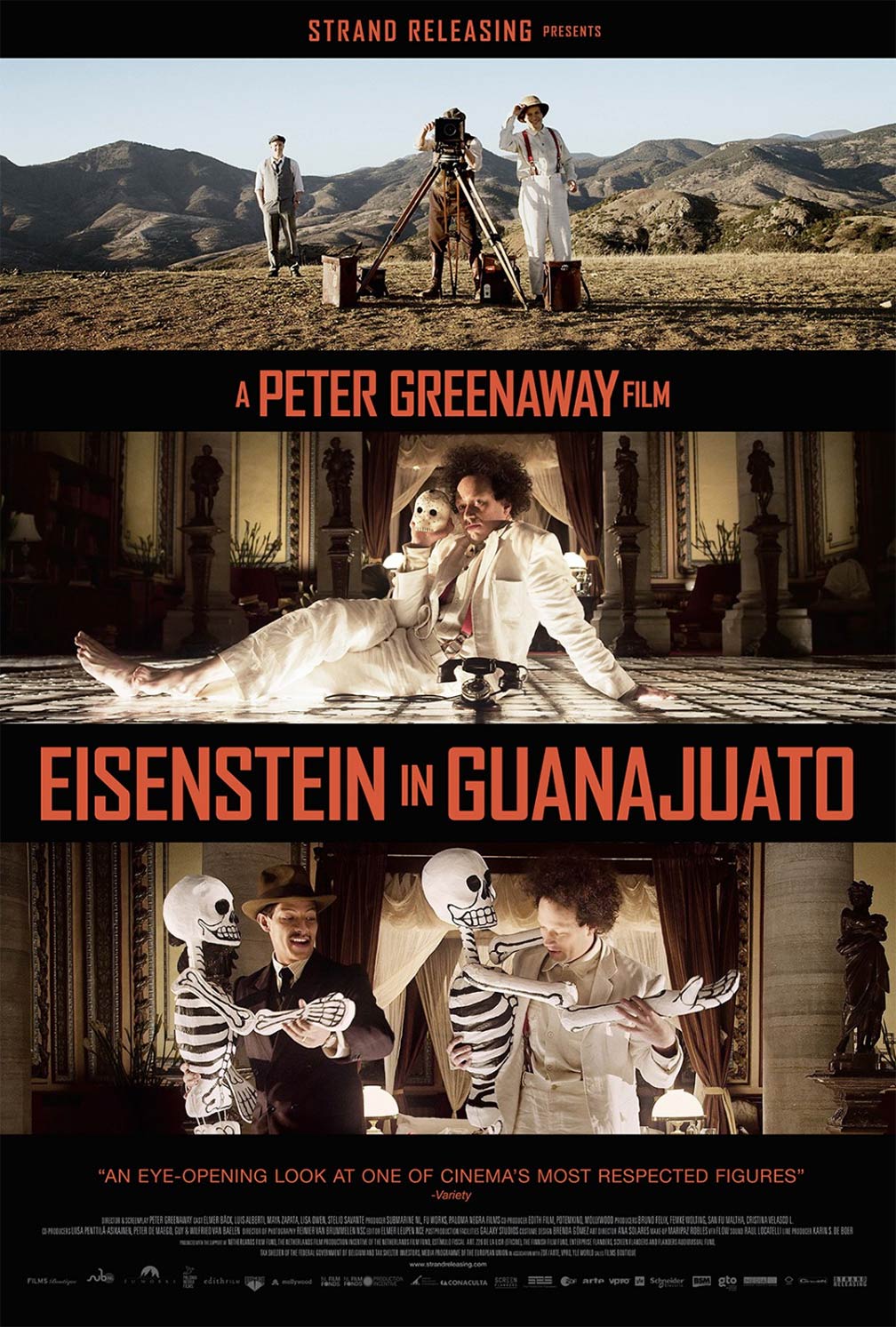 Eisenstein in Guanajuato Poster #2
