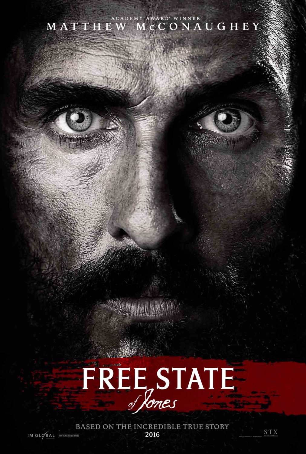 Free State of Jones Poster #1