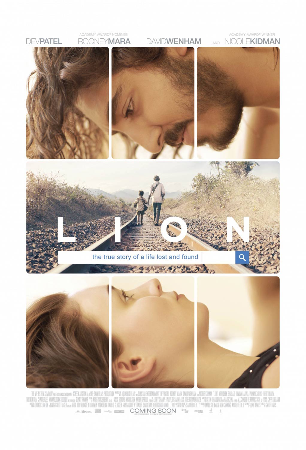 Lion Poster #2