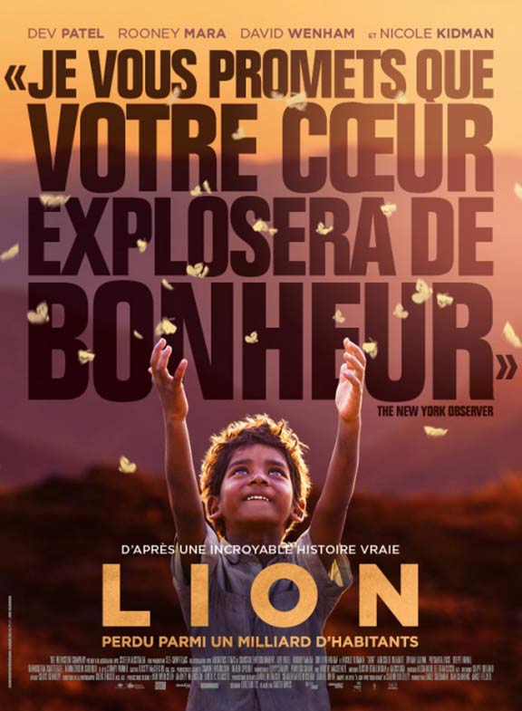 Lion Poster #6