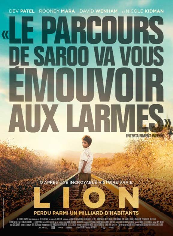 Lion Poster #7