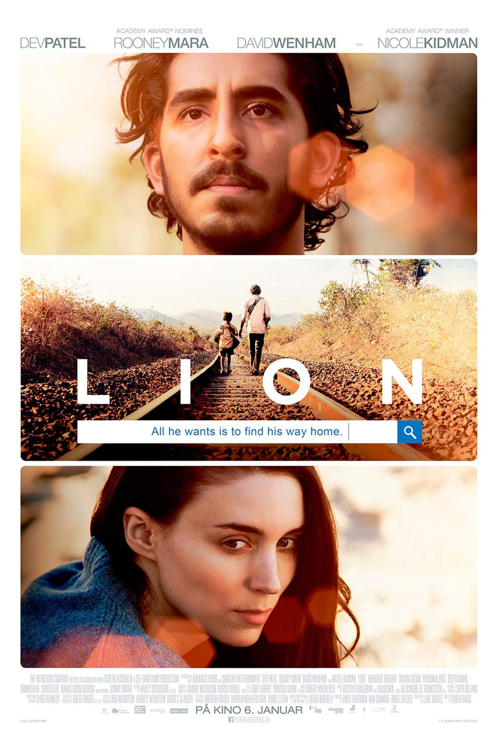 Lion Poster #9
