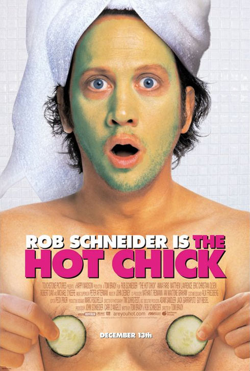 The Hot Chick Poster #1