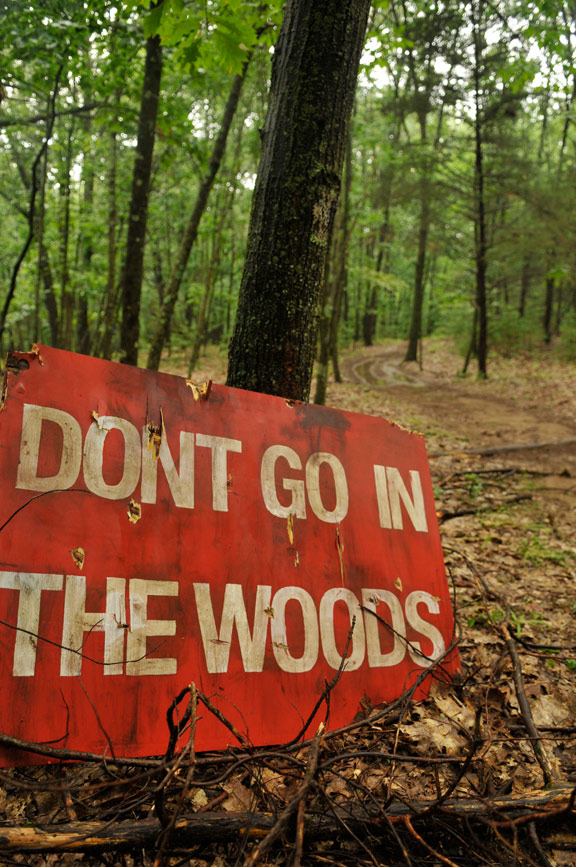 Don't Go in the Woods Poster #1