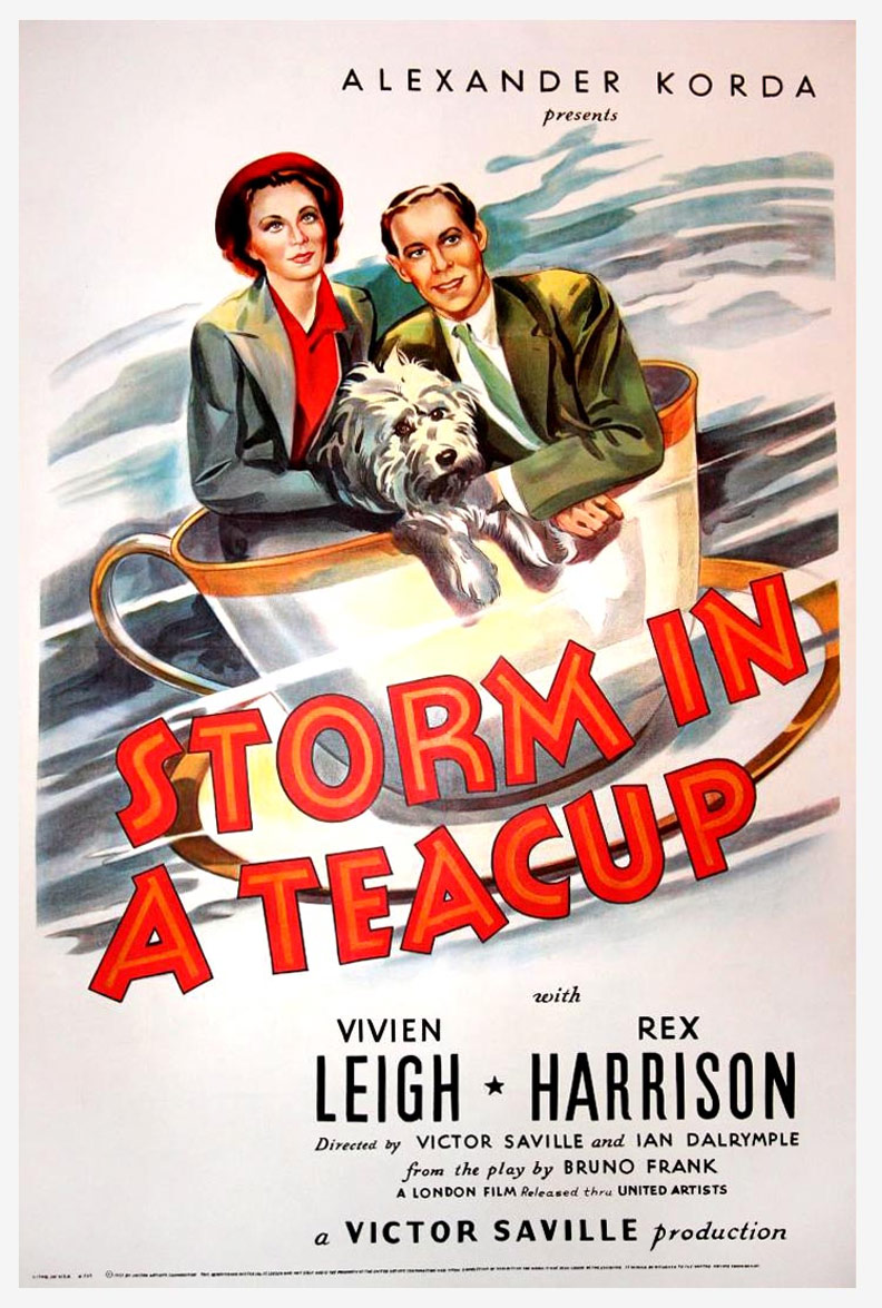Storm in a Teacup Poster #1