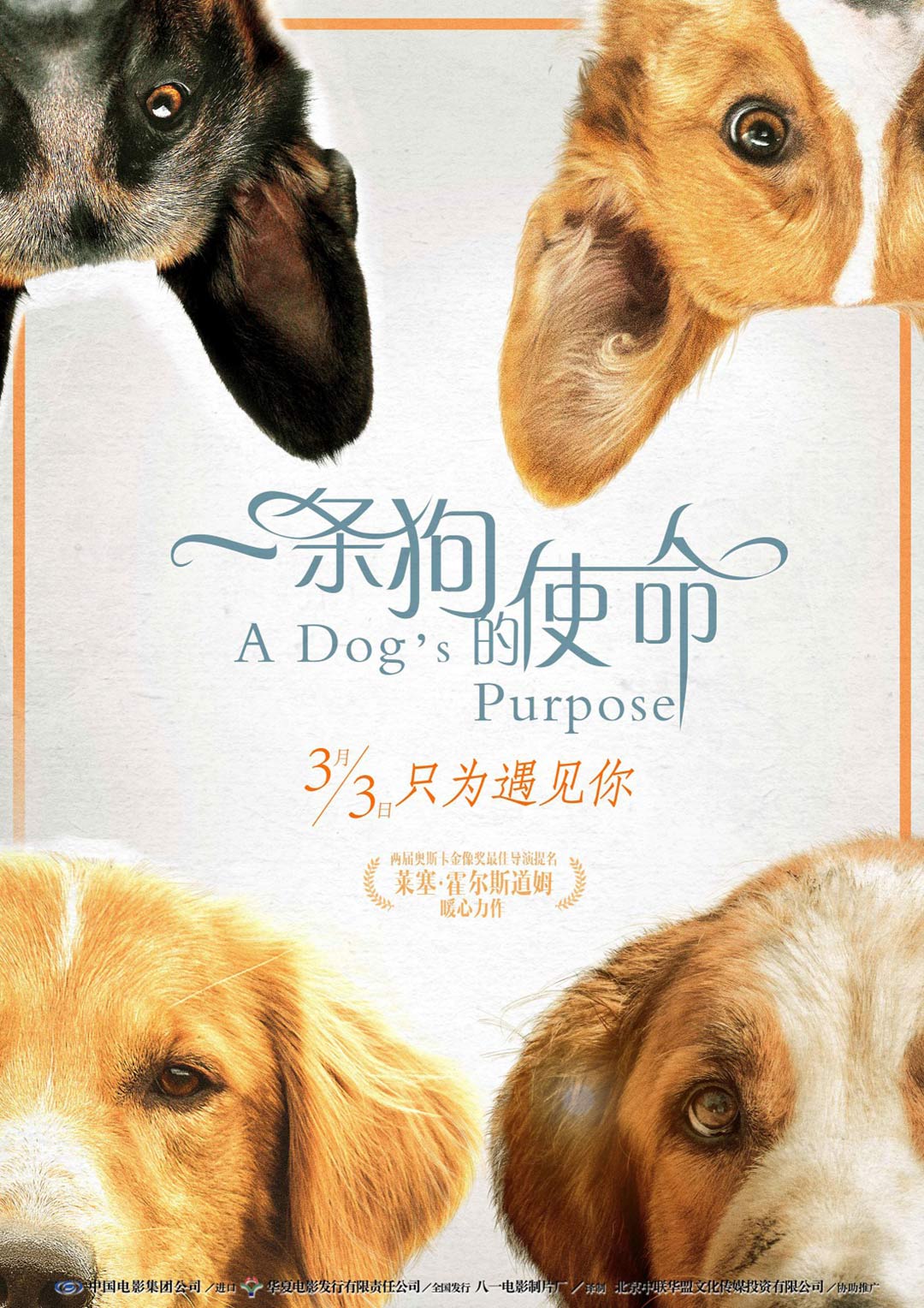 A Dog's Purpose Poster #11