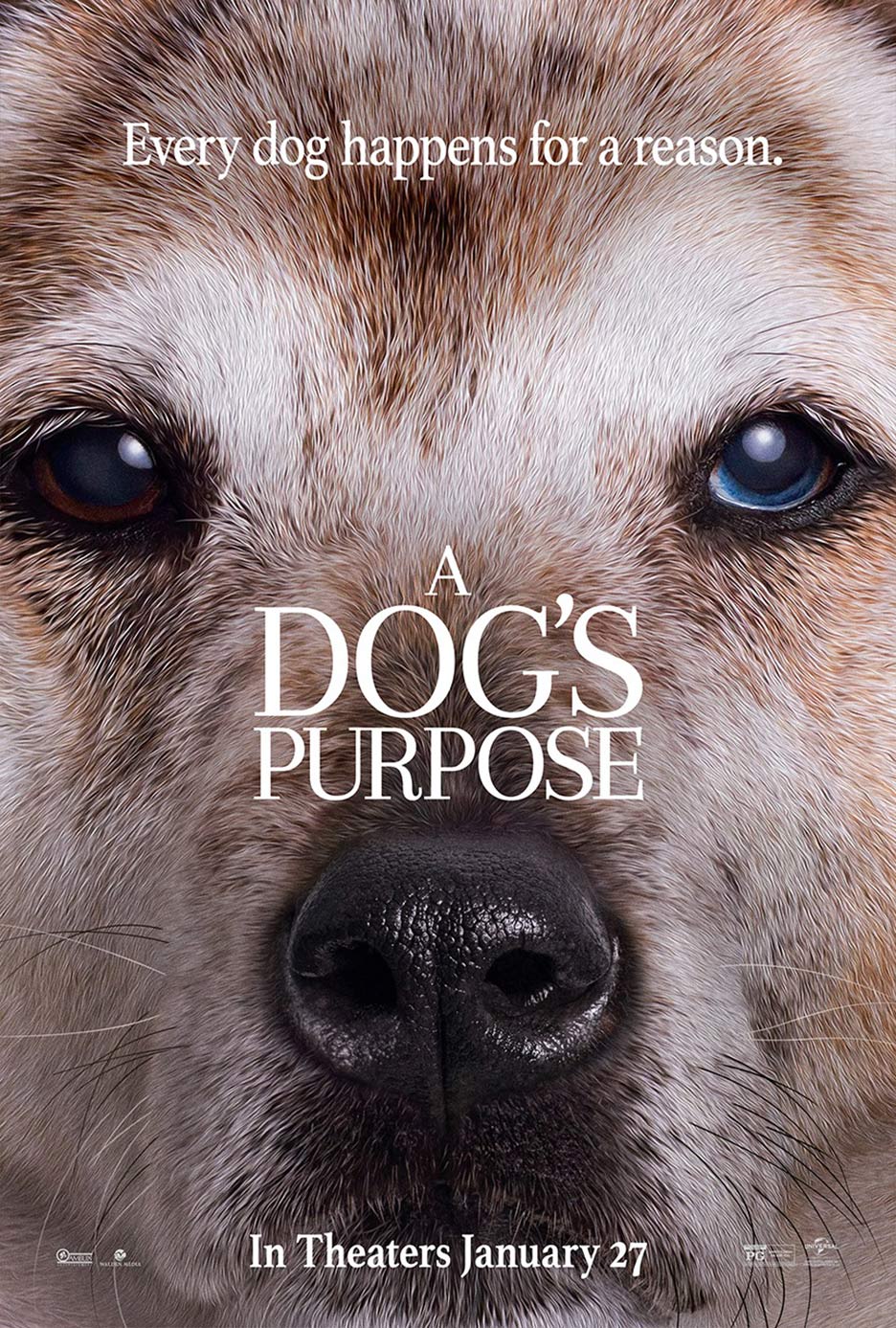 A Dog's Purpose Poster #5
