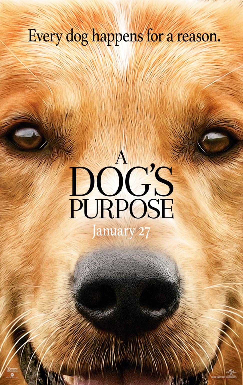 A Dog's Purpose Poster #1