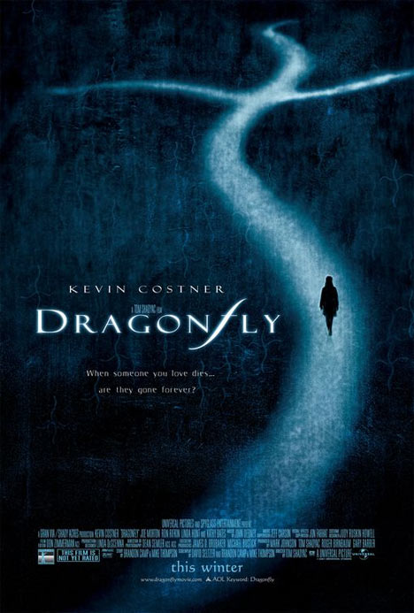 Dragonfly Poster #1