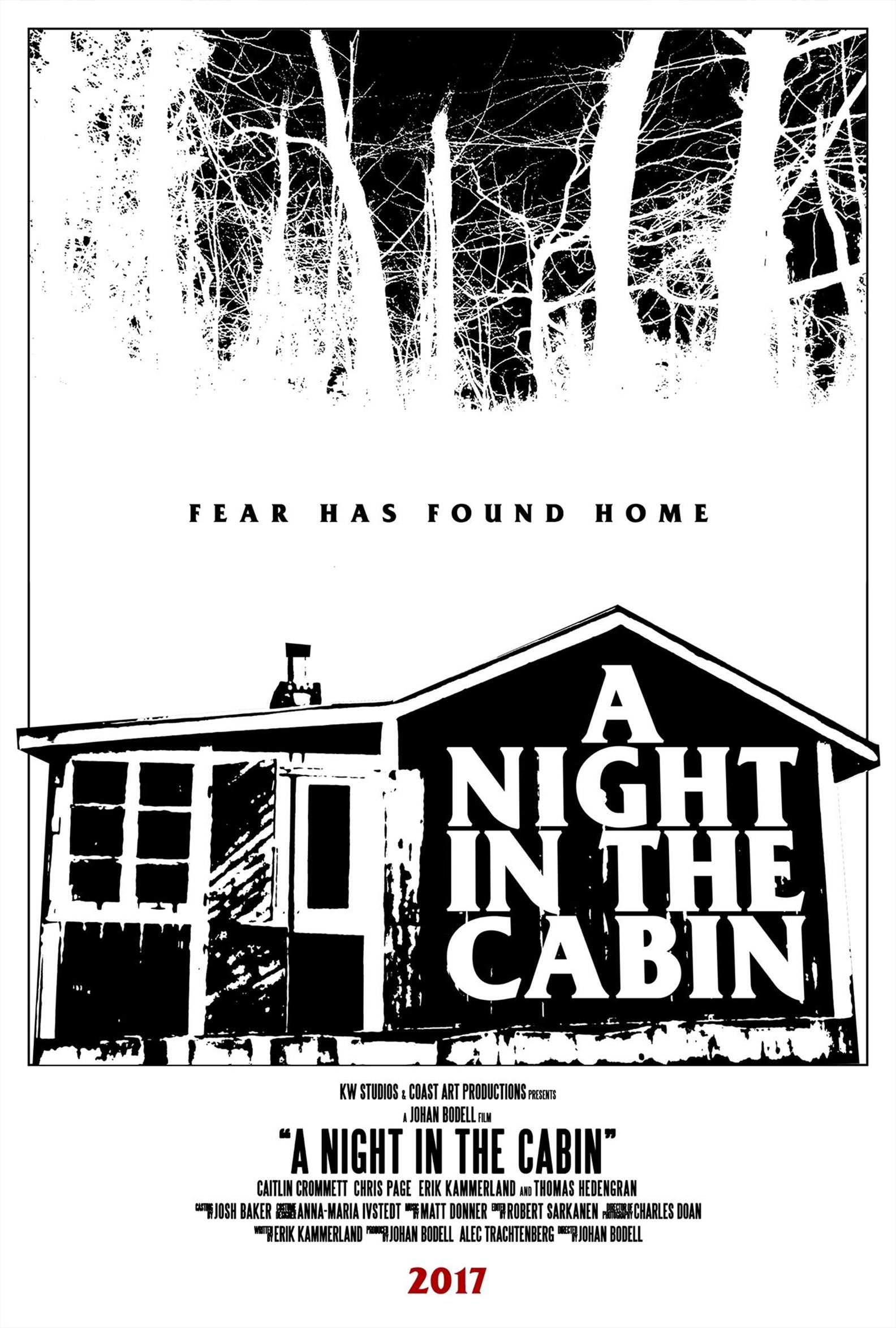 A Night in the Cabin Poster #2