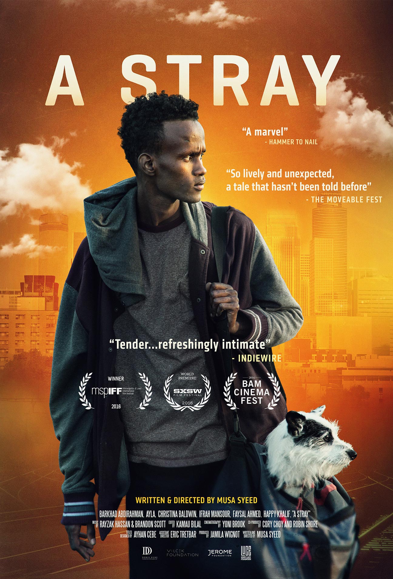 A Stray Poster #1