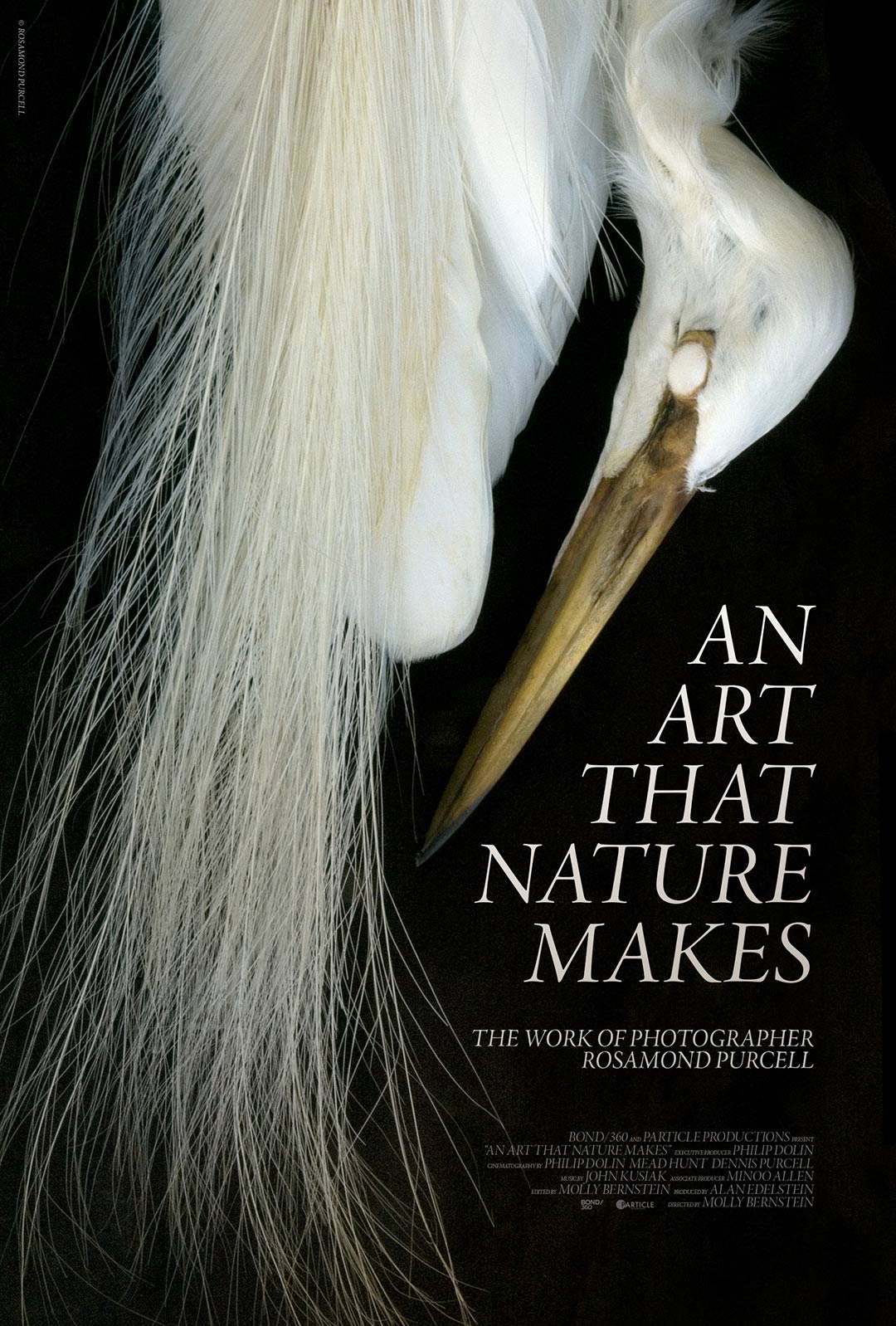An Art That Nature Makes: The Work of Rosamond Purcell Poster #1