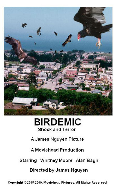 Birdemic Poster #1