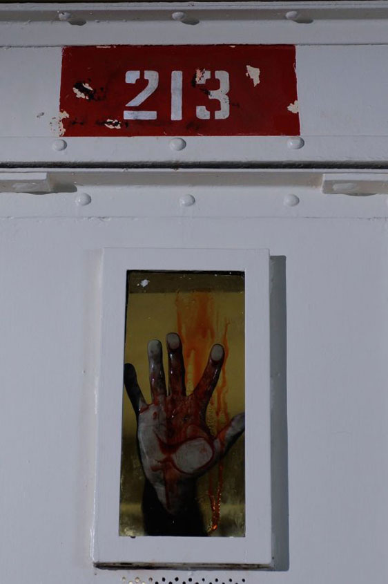 Cell 213 Poster #1