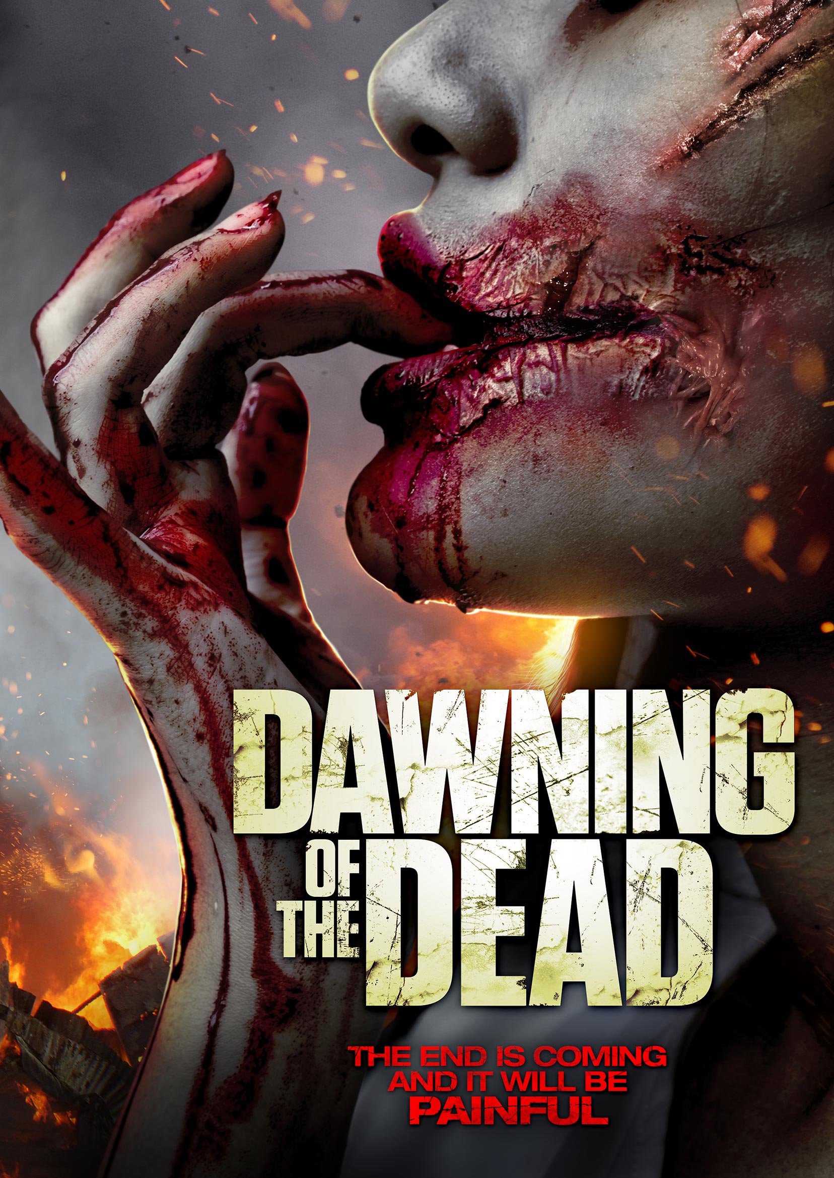 Dawning of the Dead Poster #1