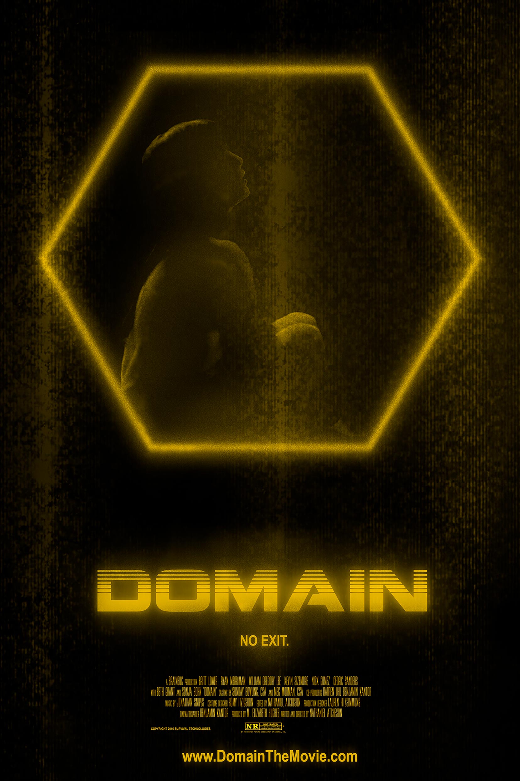 Domain Poster #1