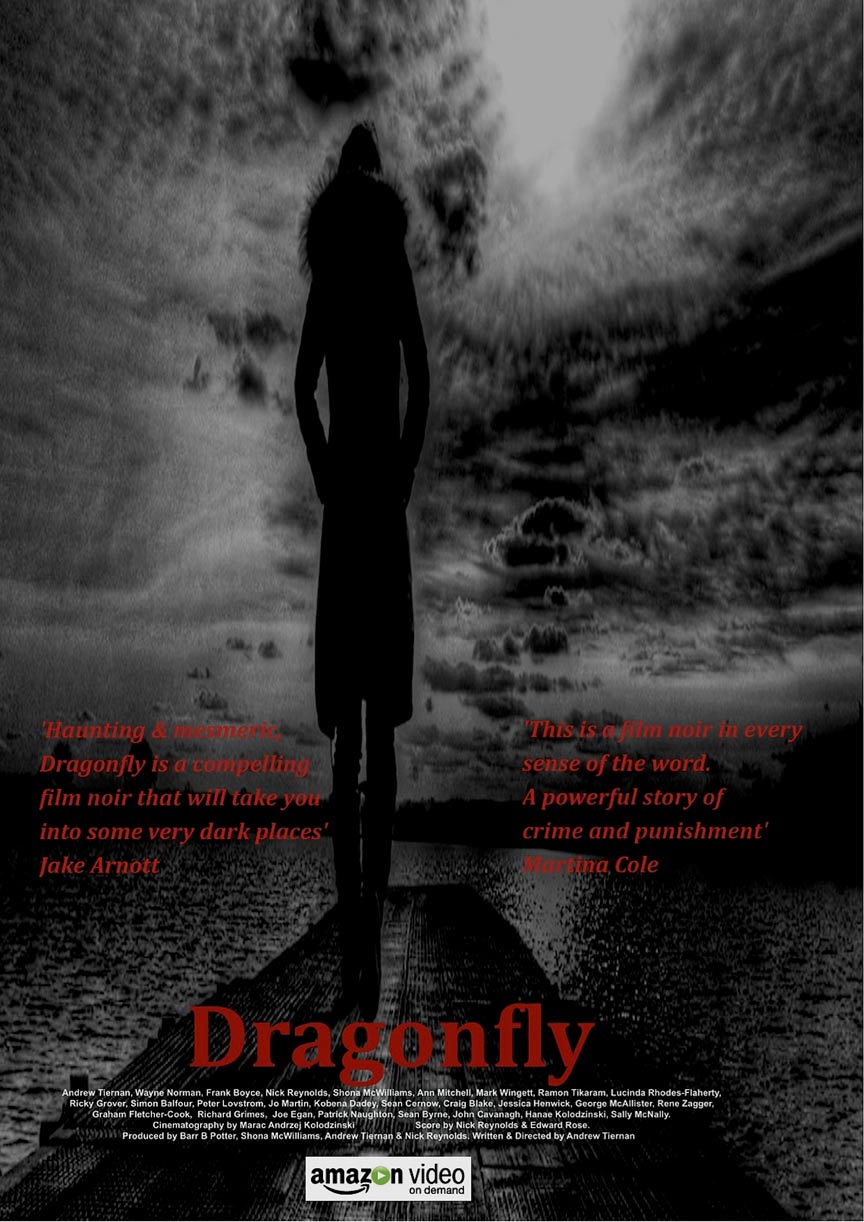 Dragonfly Poster #1