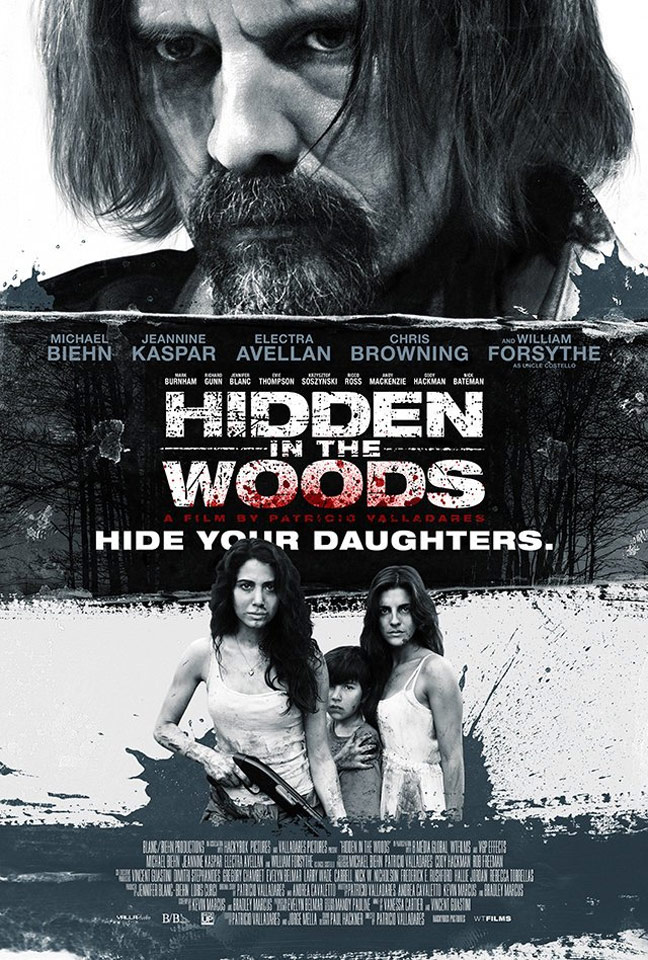 Hidden in the Woods Poster #1