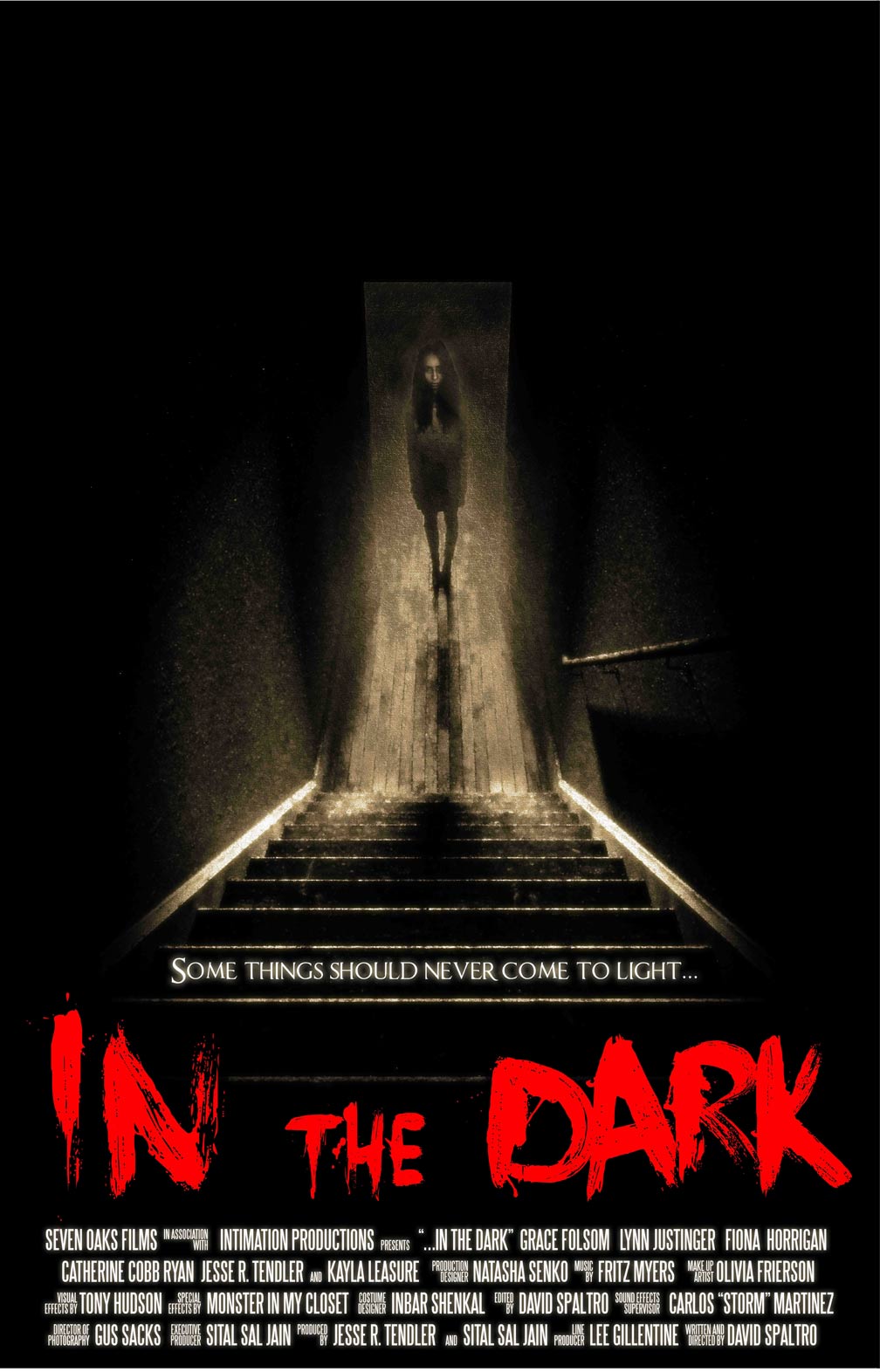 In the Dark Poster #1