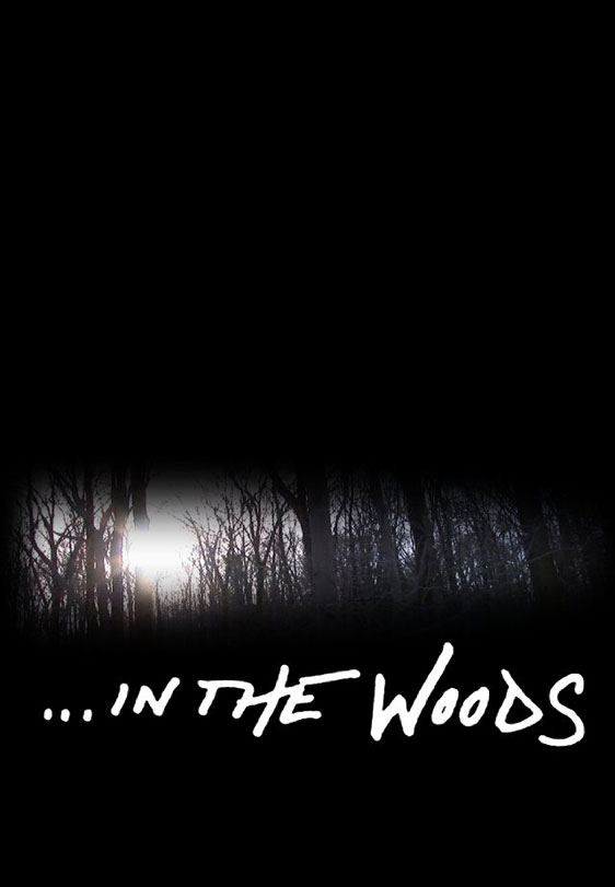 In the Woods Poster #1