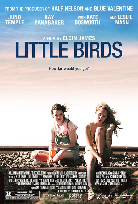 Little Birds Poster #1