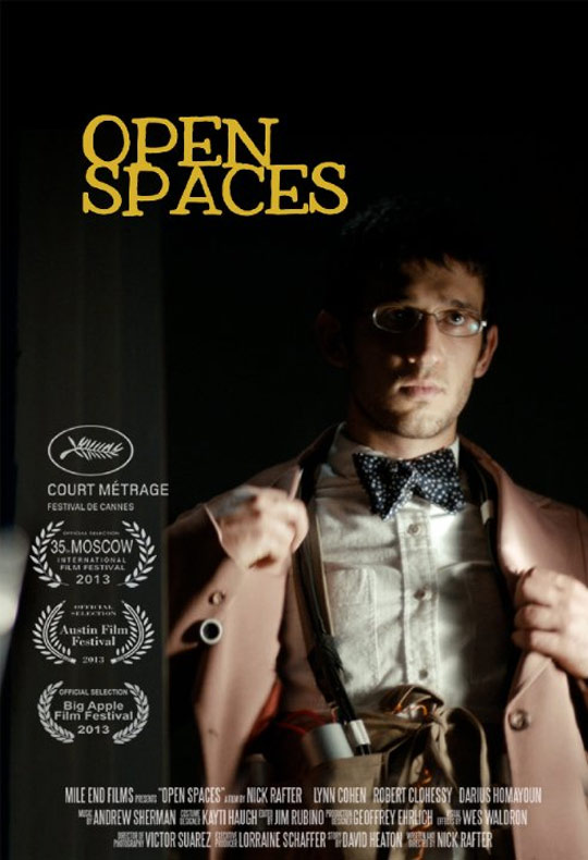 Open Spaces Poster #1