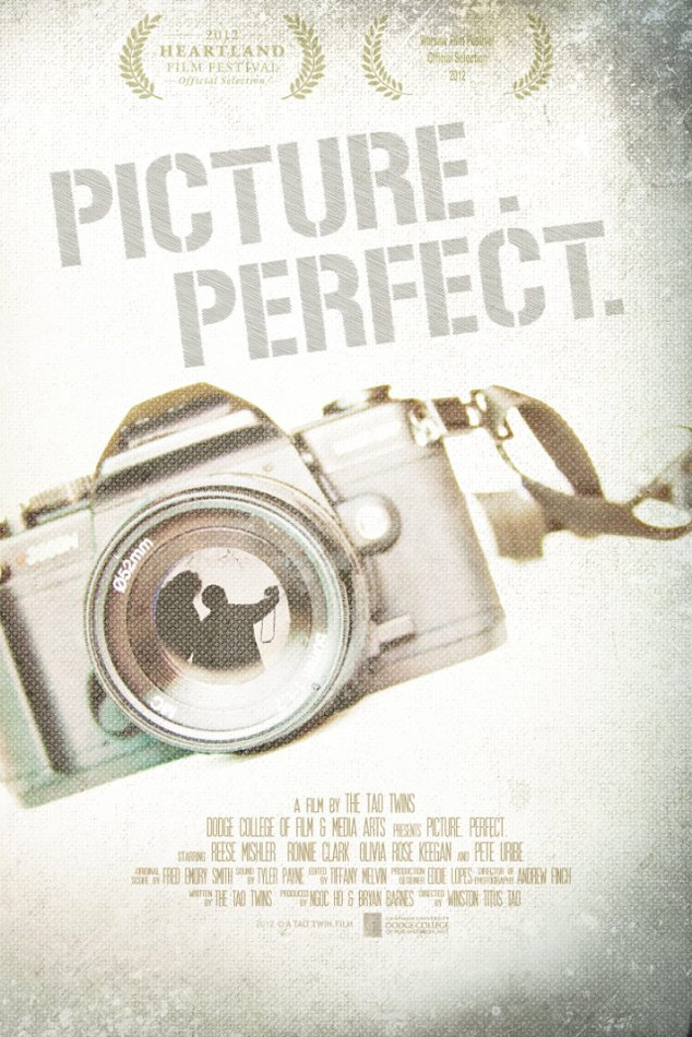 Picture. Perfect. Poster #1