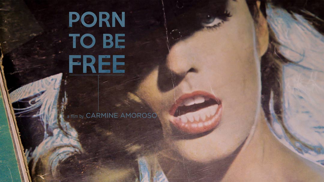 Porn to be Free Poster #1