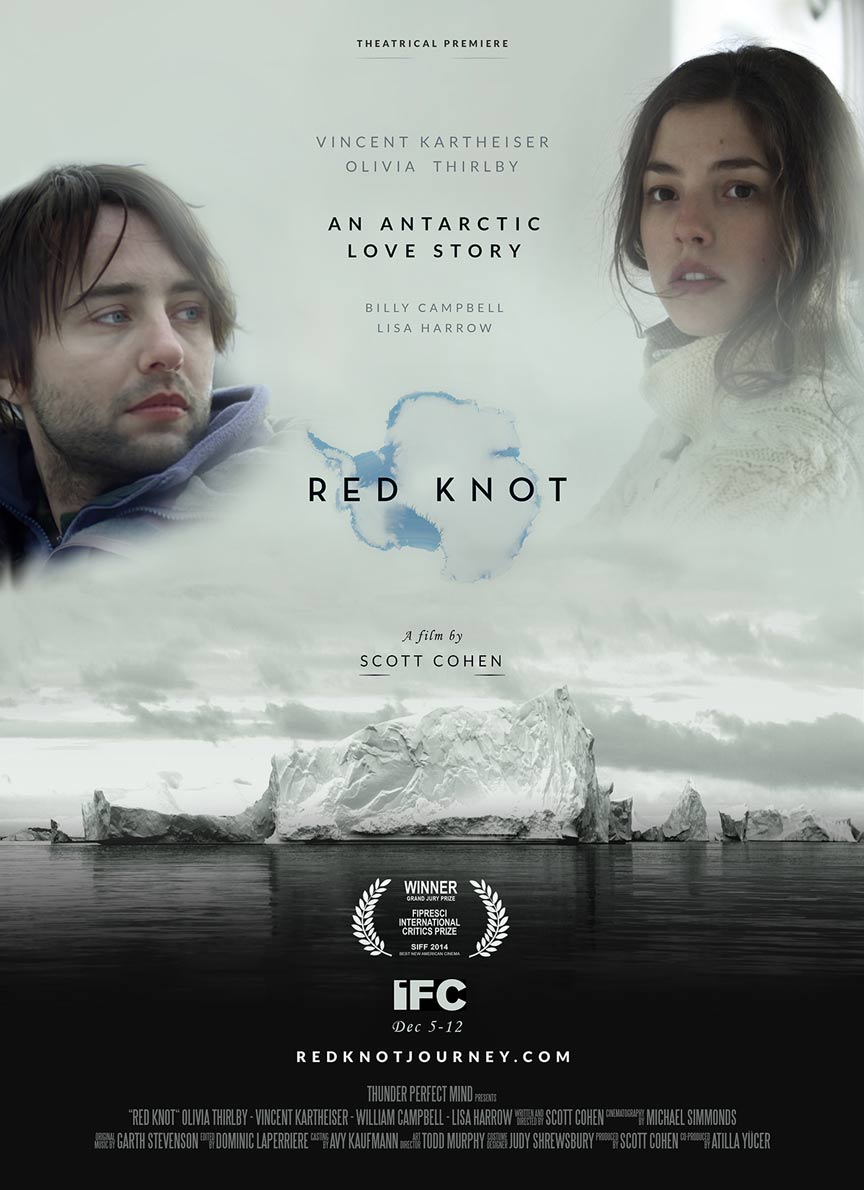 Red Knot Poster #1