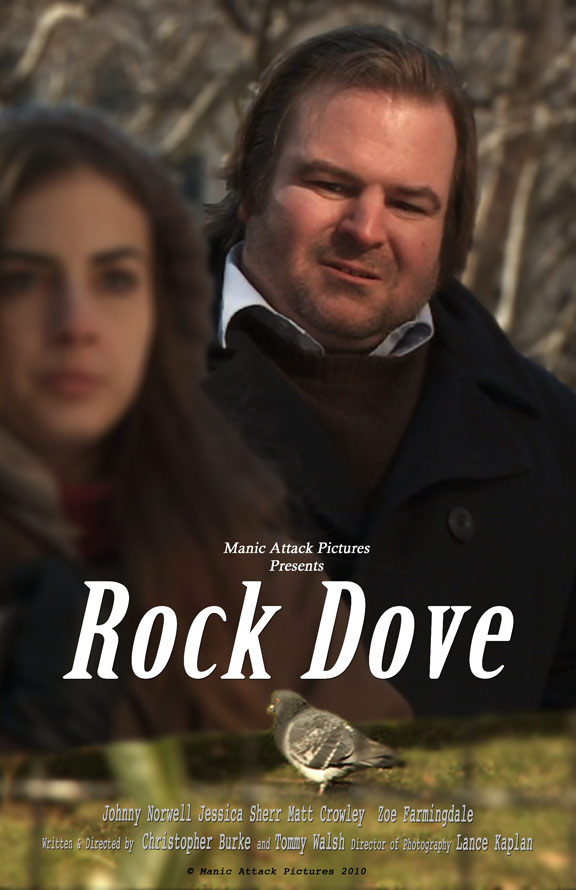 Rock Dove Poster #1