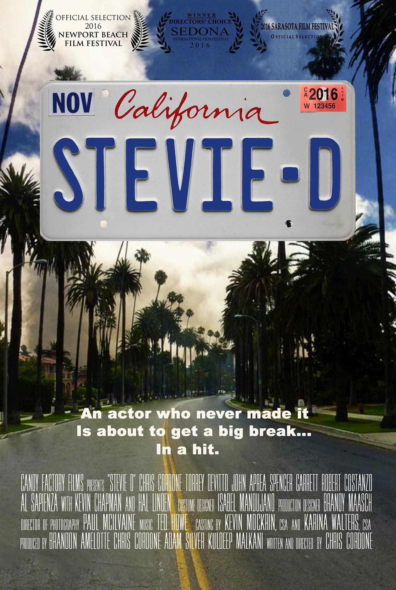Stevie D Poster #1