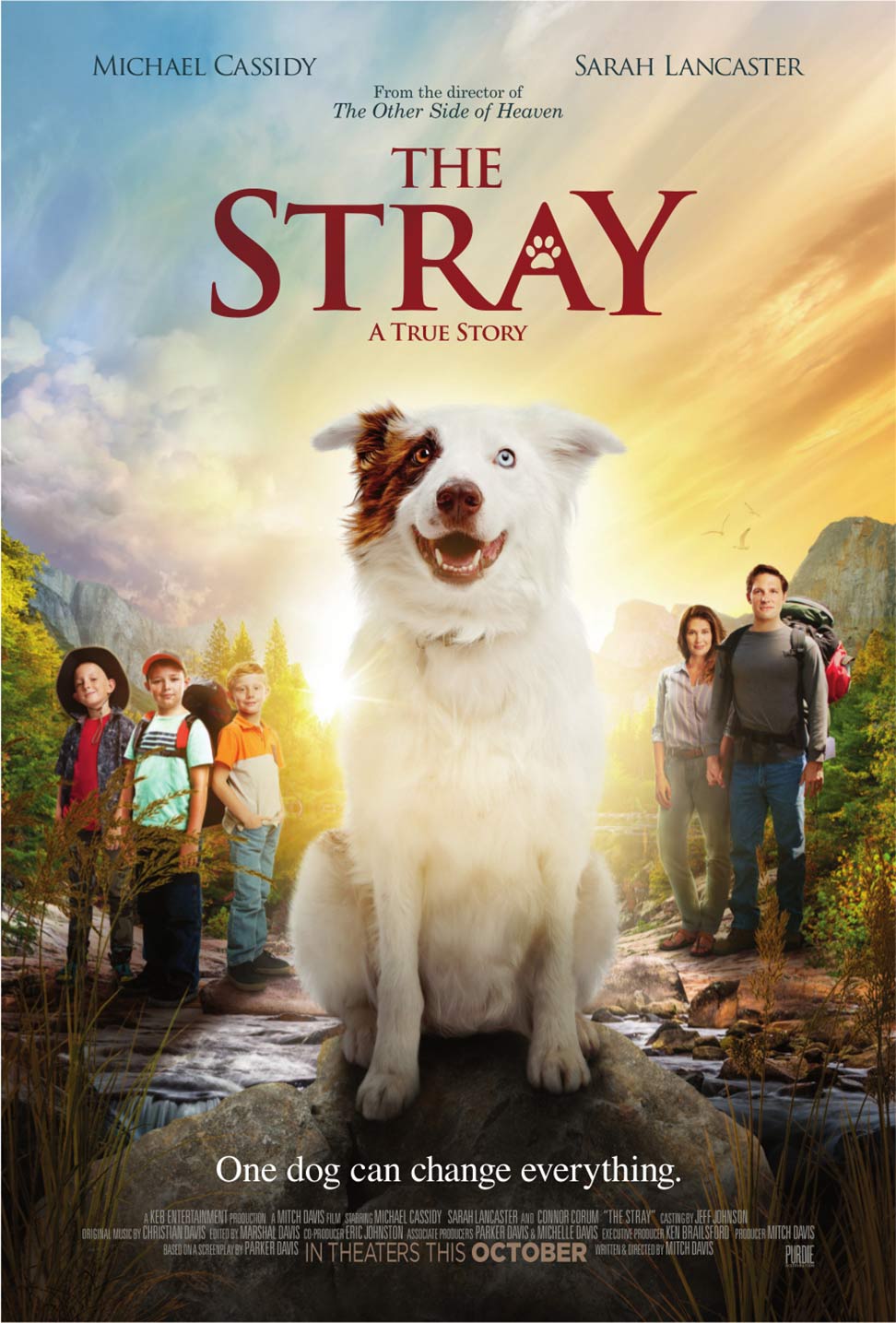 The Stray Poster #1