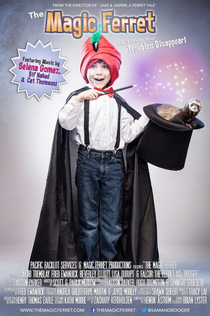 The Magic Ferret Poster #1