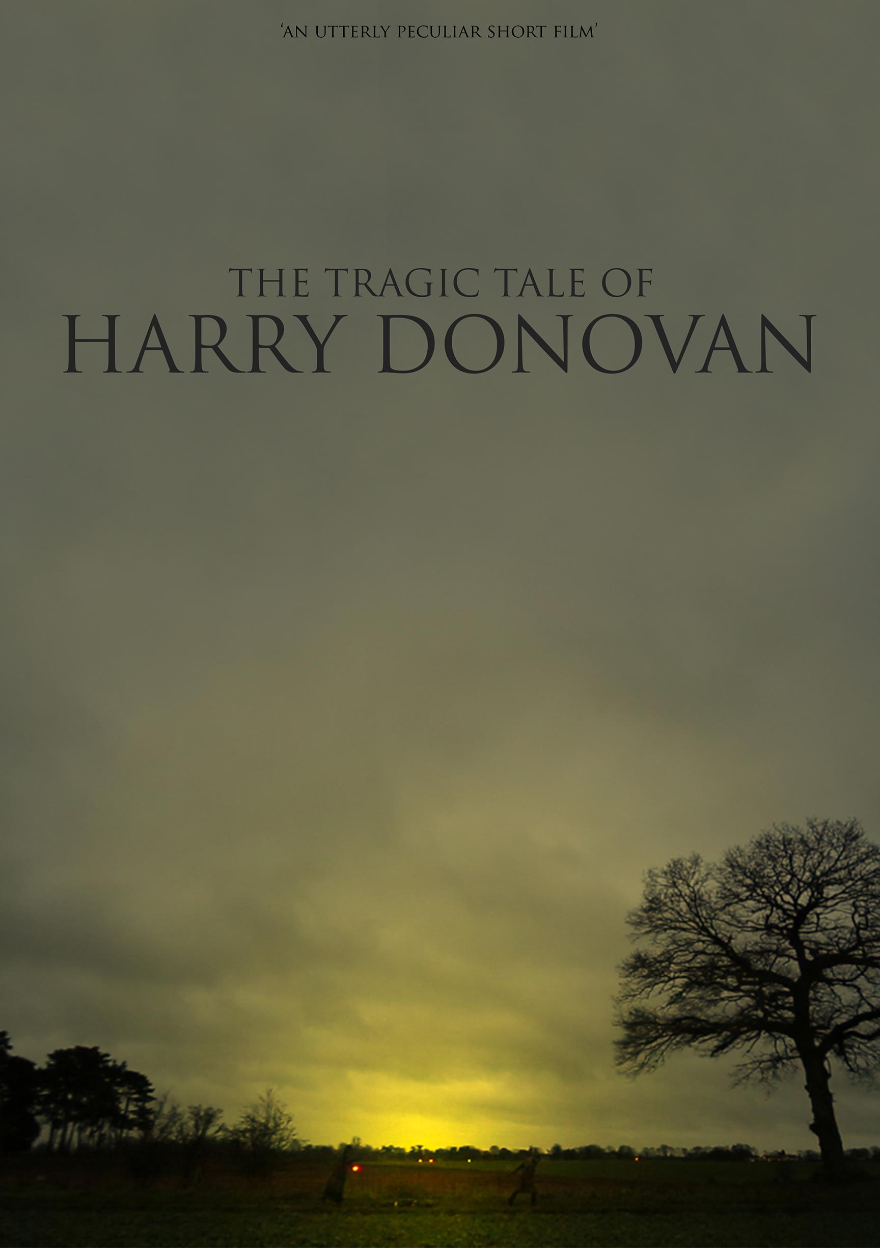 The Tragic Tale of Harry Donovan Poster #1