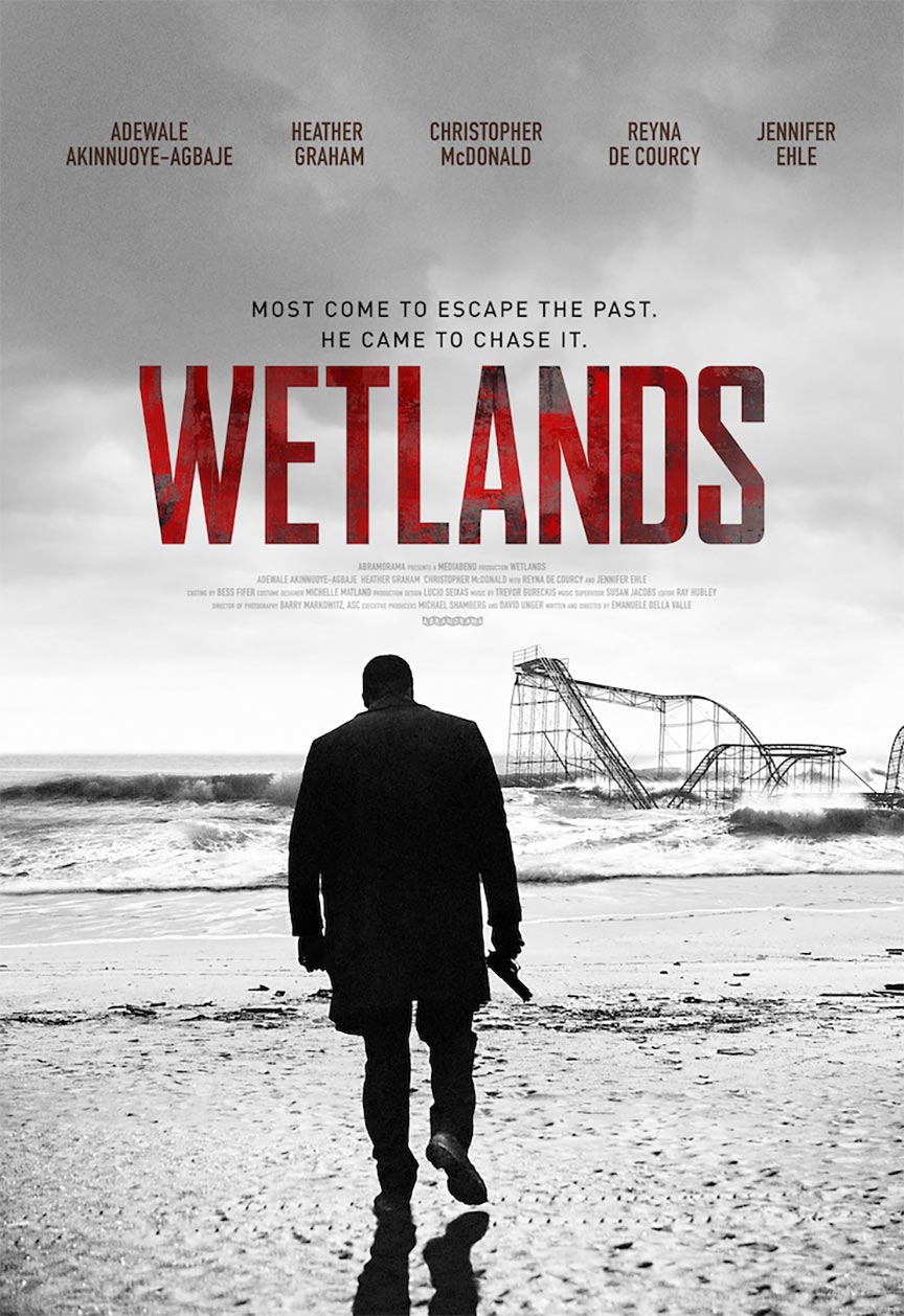 Wetlands Poster #1