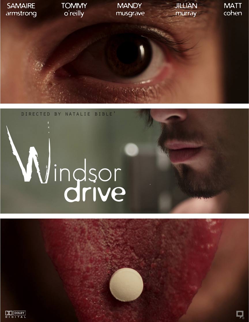 Windsor Drive Poster #1