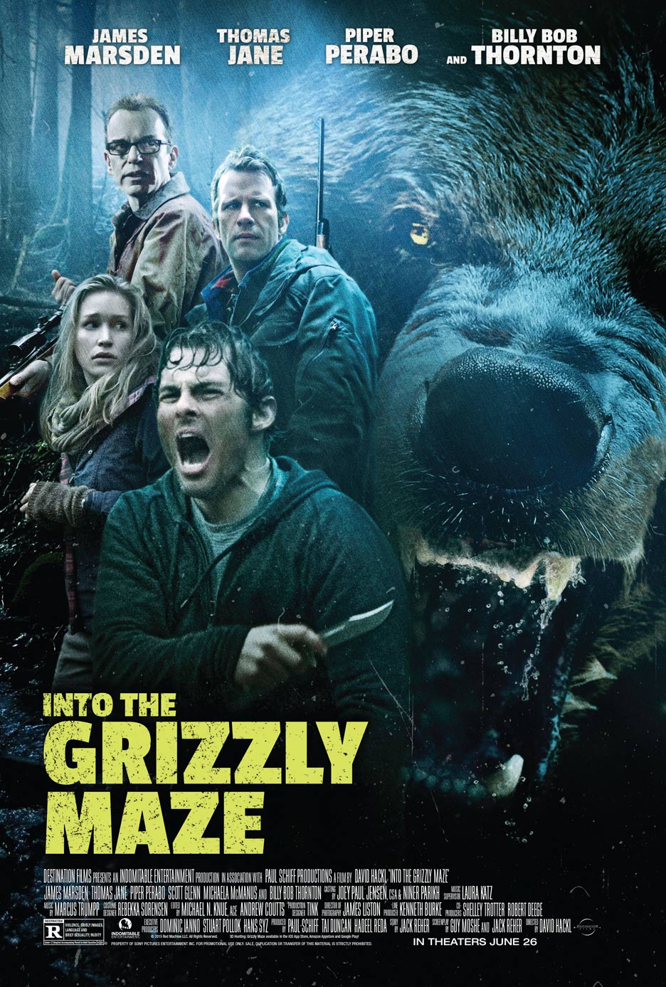 Into the Grizzly Maze Poster #1