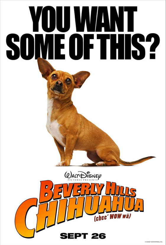 Beverly Hills Chihuahua Poster #3