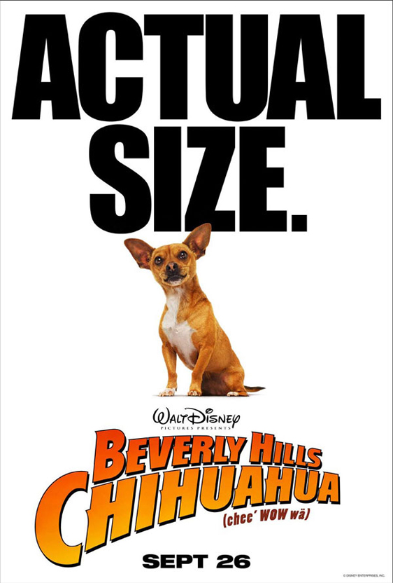 Beverly Hills Chihuahua Poster #4