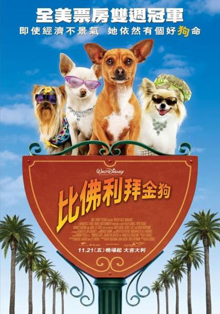 Beverly Hills Chihuahua Poster #5