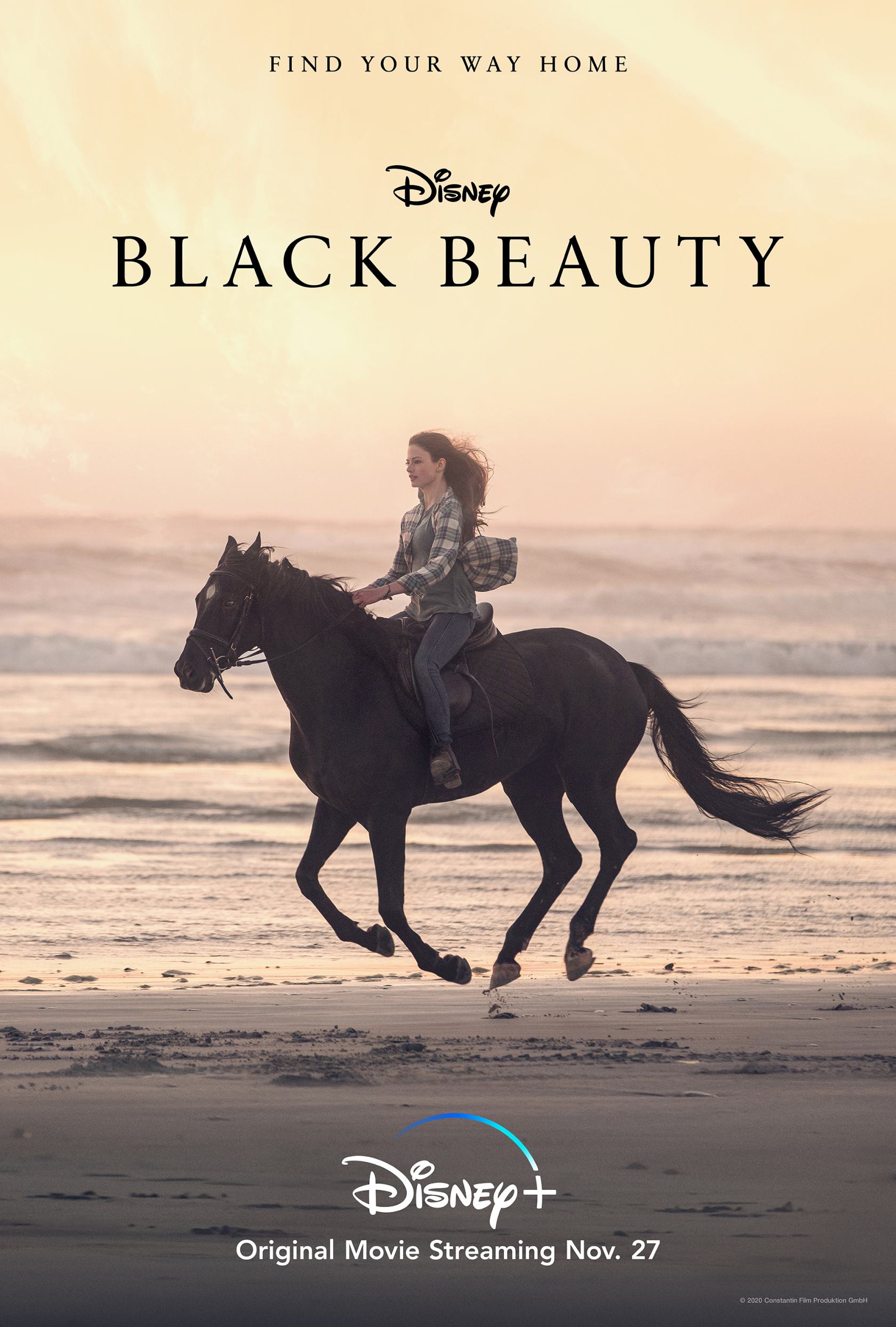 Black Beauty Poster #1