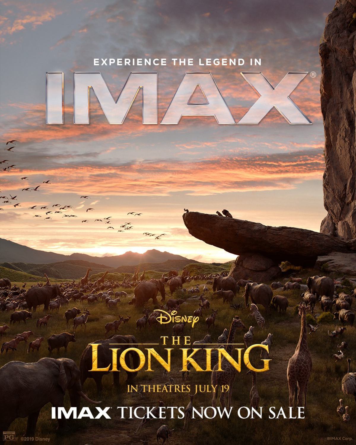 The Lion King Poster #13