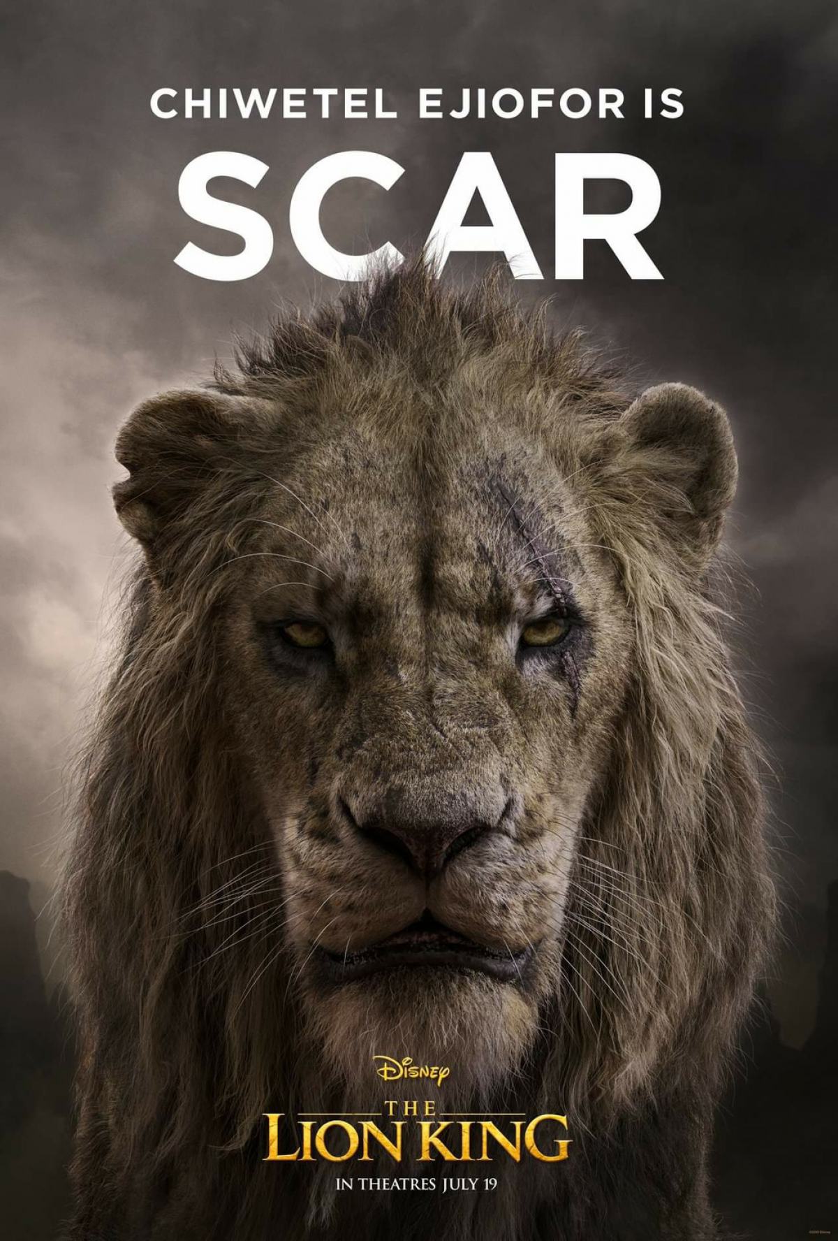 The Lion King Poster #5