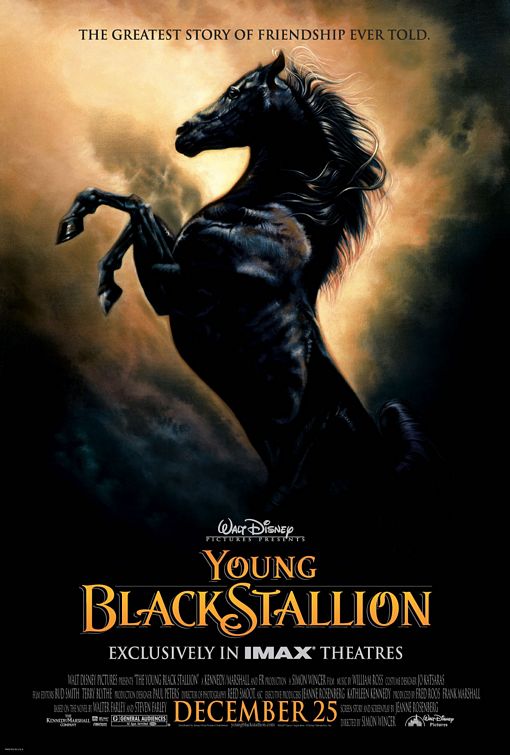 Young Black Stallion Poster #1