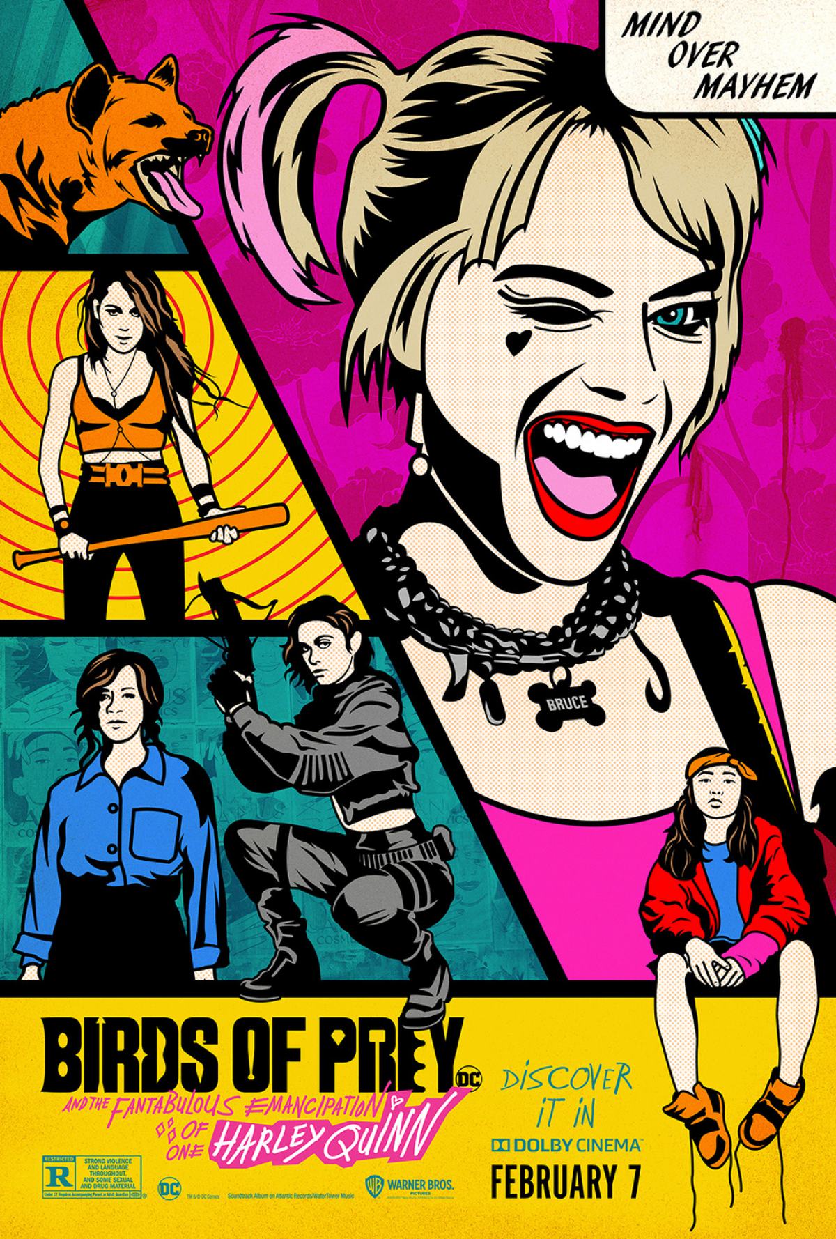 Birds of Prey (And the Fantabulous Emancipation of One Harley Quinn) Poster #5