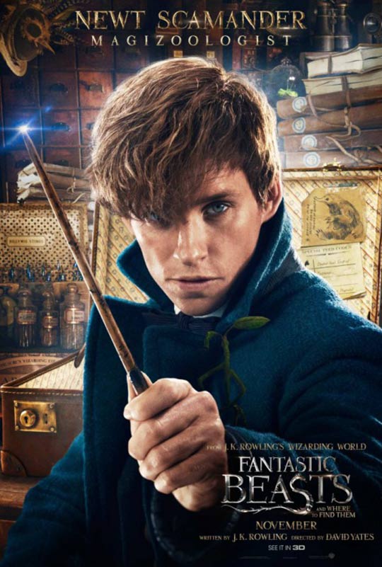 Fantastic Beasts and Where to Find Them Poster #11